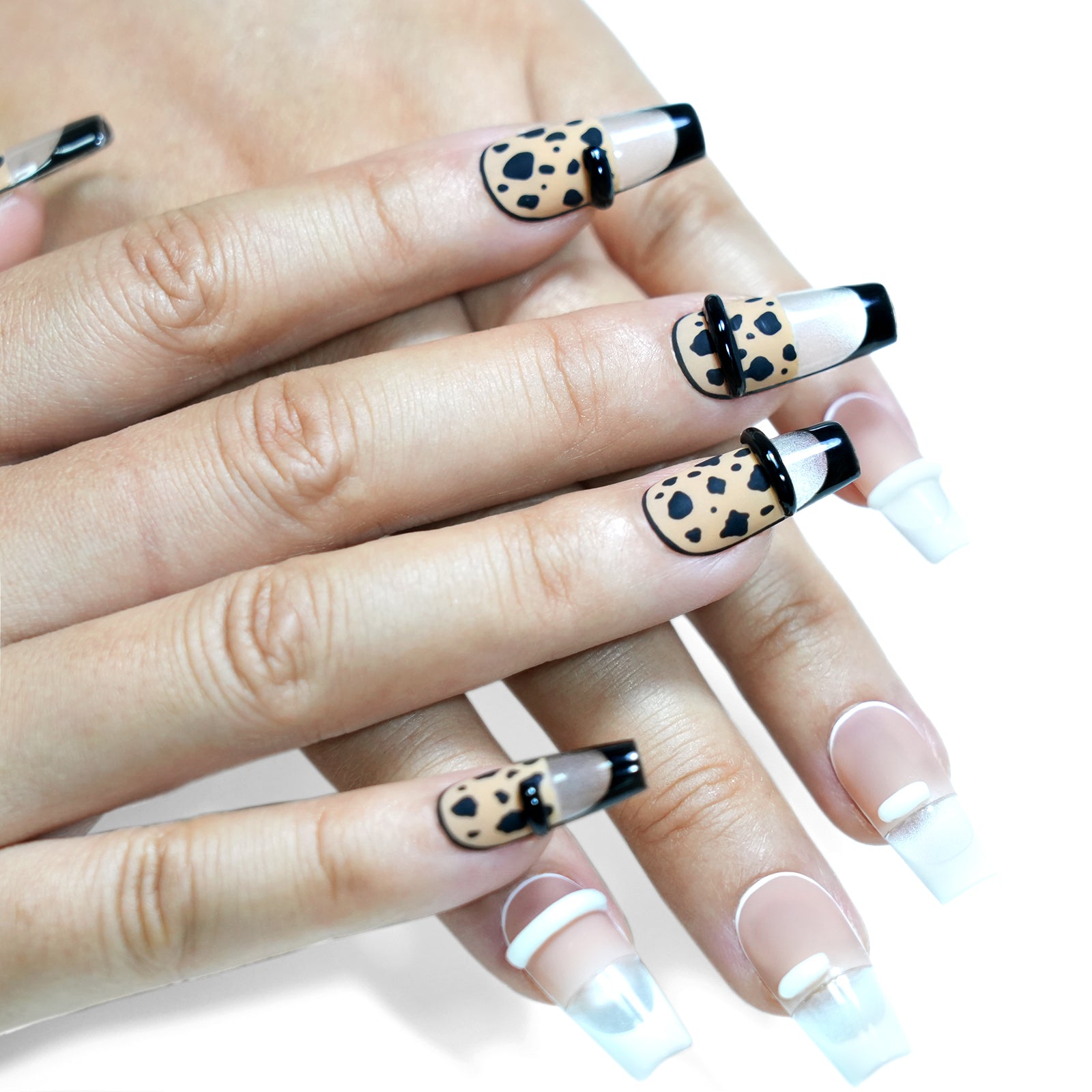 wildspot-2f021f6541dea509290578c114feb2d1